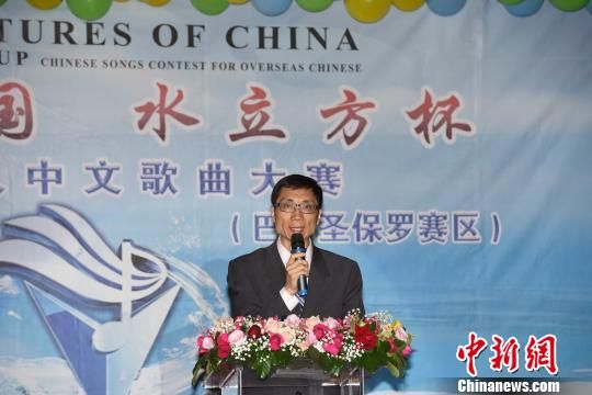中国侨网图为中国驻圣保罗副总领事孙仁安致辞。　莫成雄　摄